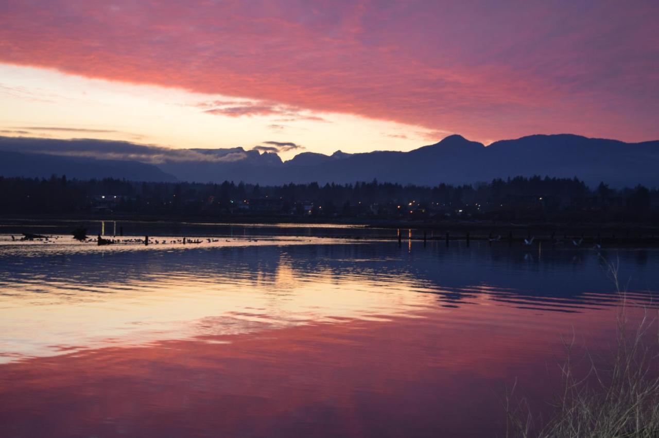 Estuary House Reflexology B&B Courtenay Dış mekan fotoğraf