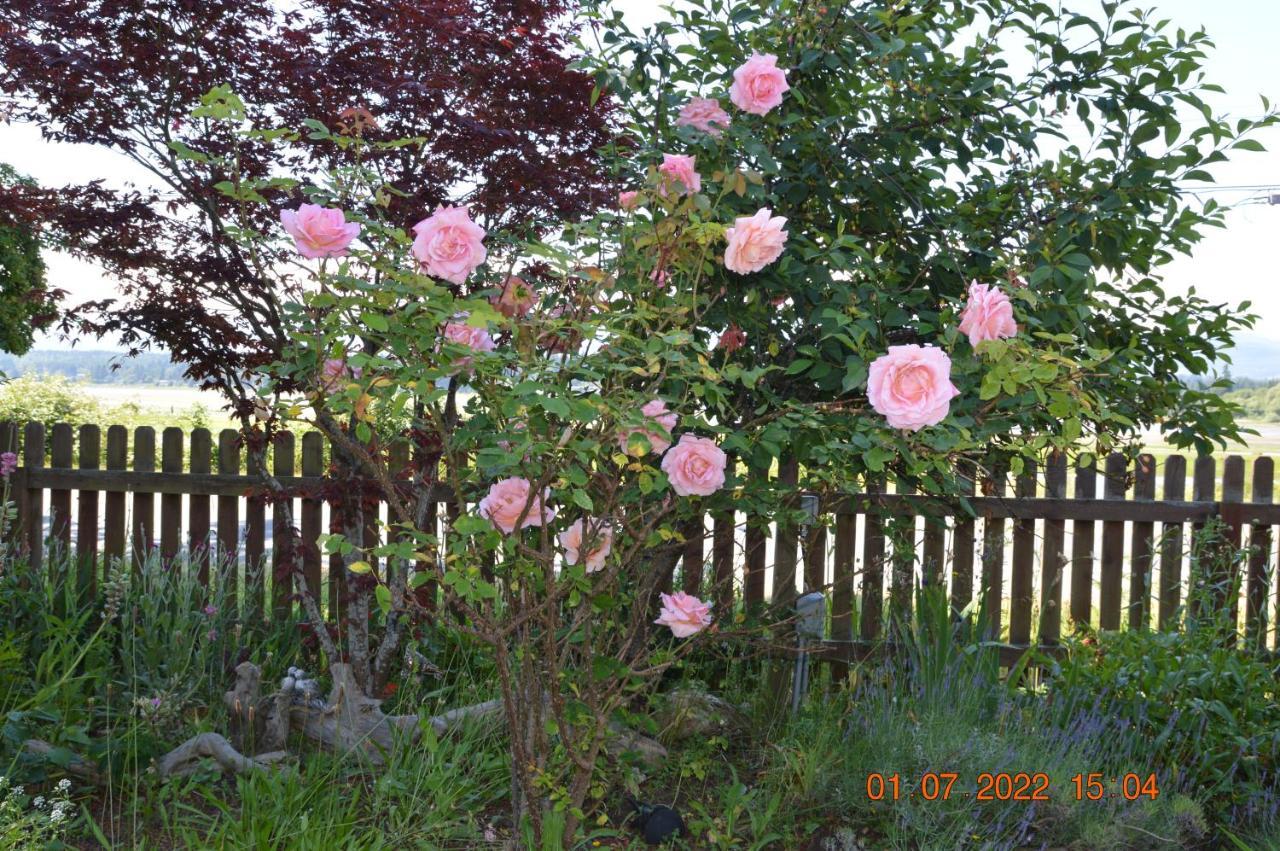 Estuary House Reflexology B&B Courtenay Dış mekan fotoğraf