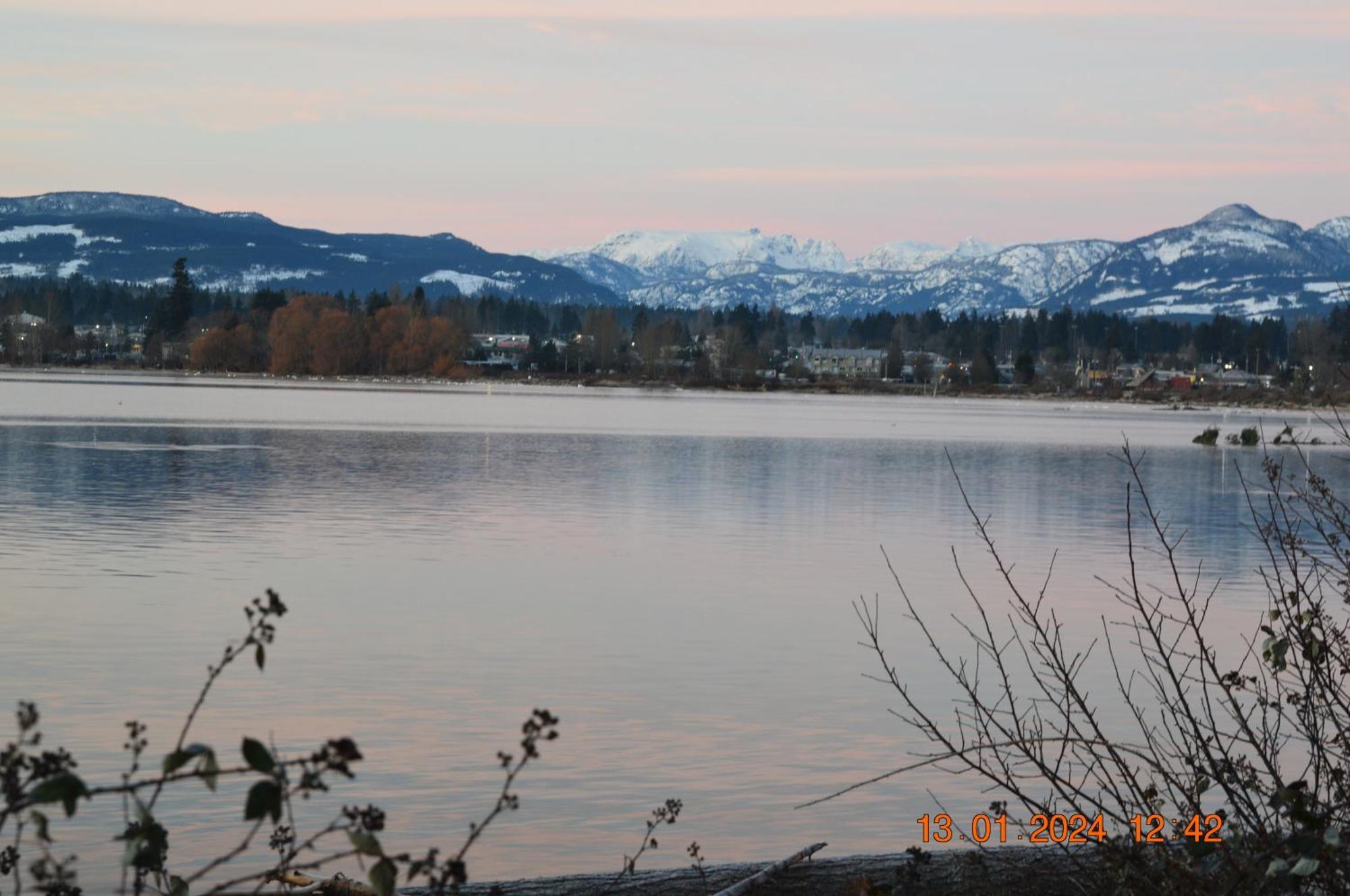 Estuary House Reflexology B&B Courtenay Dış mekan fotoğraf