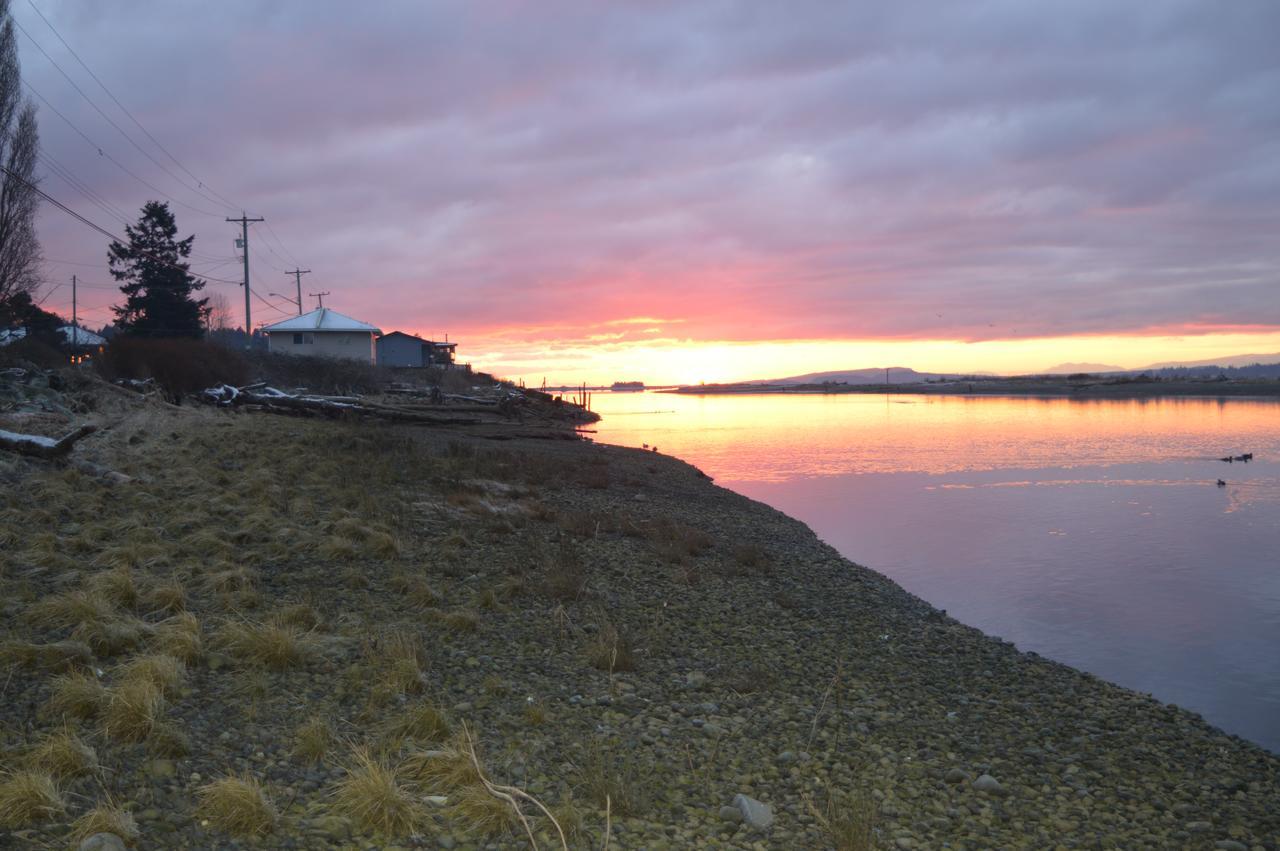 Estuary House Reflexology B&B Courtenay Dış mekan fotoğraf