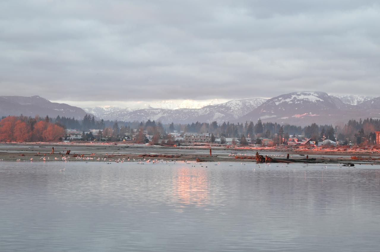 Estuary House Reflexology B&B Courtenay Dış mekan fotoğraf